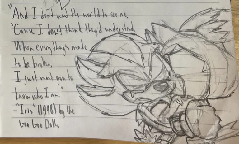 Shadow, with tears in his eyes, hugs Blaze, which surprises her. The quote besides it reads: 'And I don't want the world to see me / 'Cause I don't think they'd understand. / When everything's made to be broken, / I just want you to know who I am.' - 'Iris' (1998) by the Goo Goo Dolls