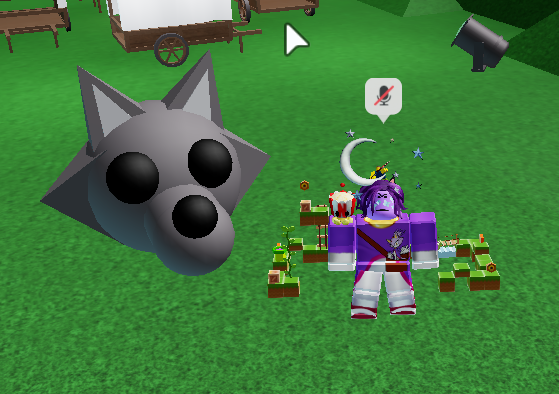 Me with head of wolf prop with gray colors